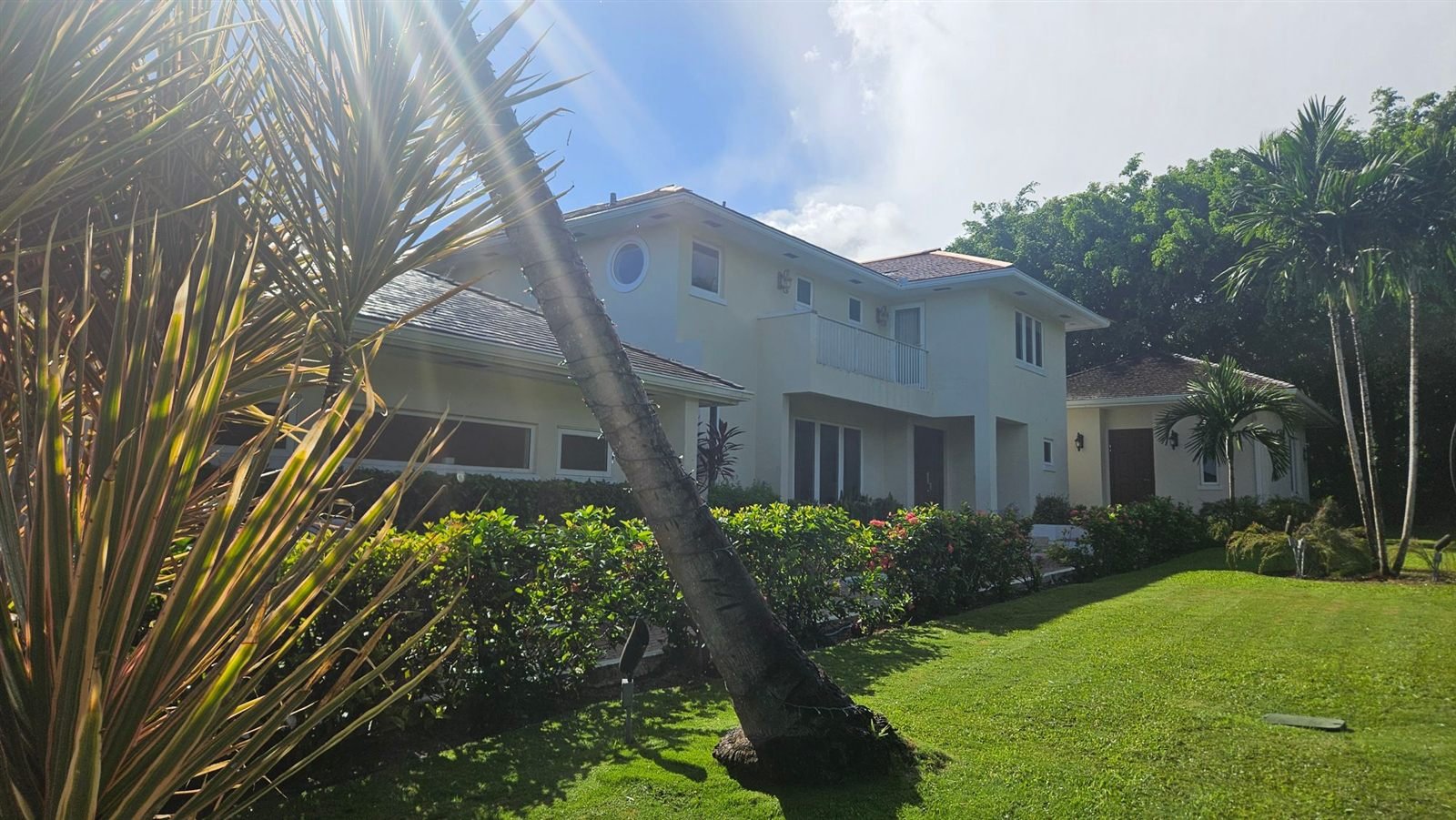 Family home with a lawn and hedges