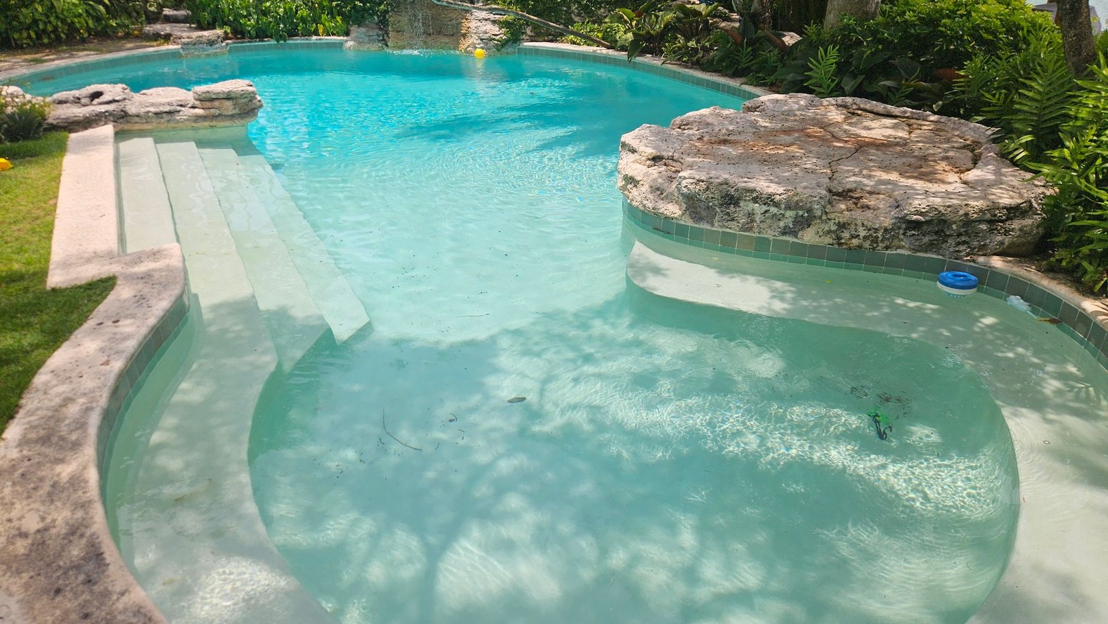 Freeform pool with natural rock features and wide entry steps