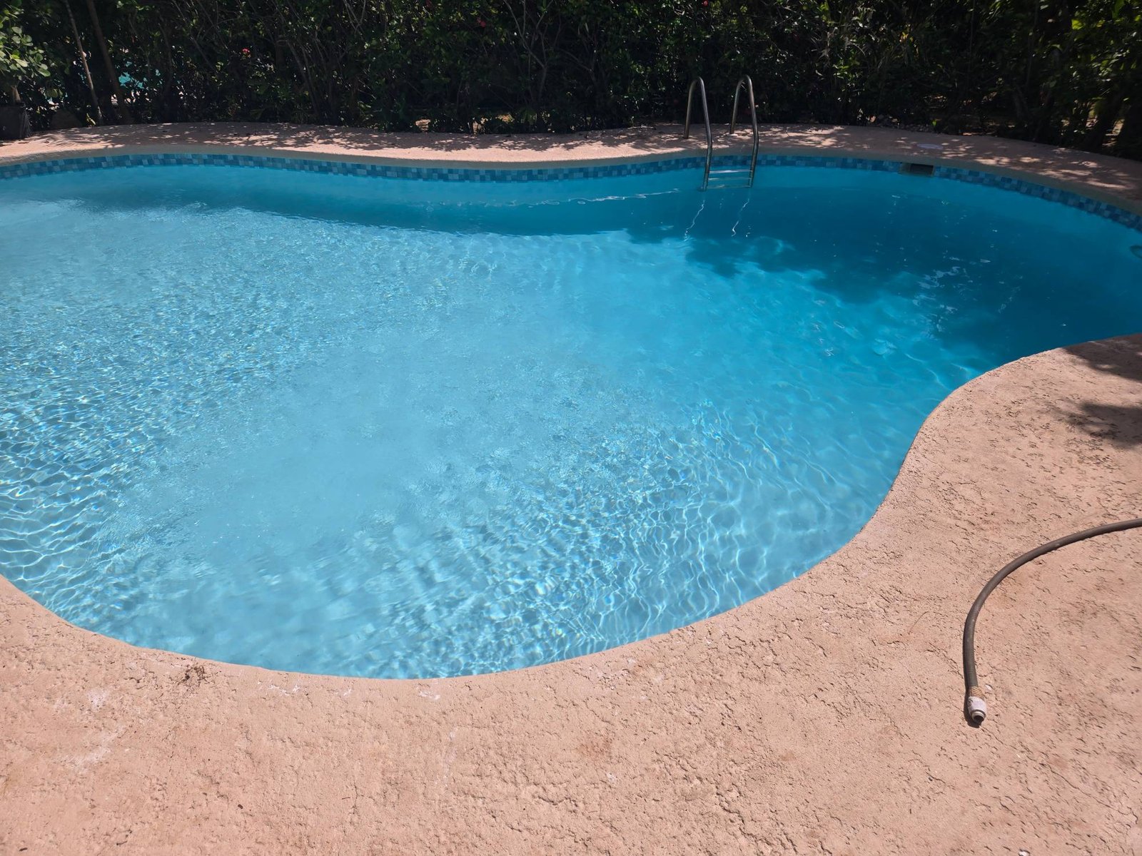 Curved residential pool with mosaic tile line