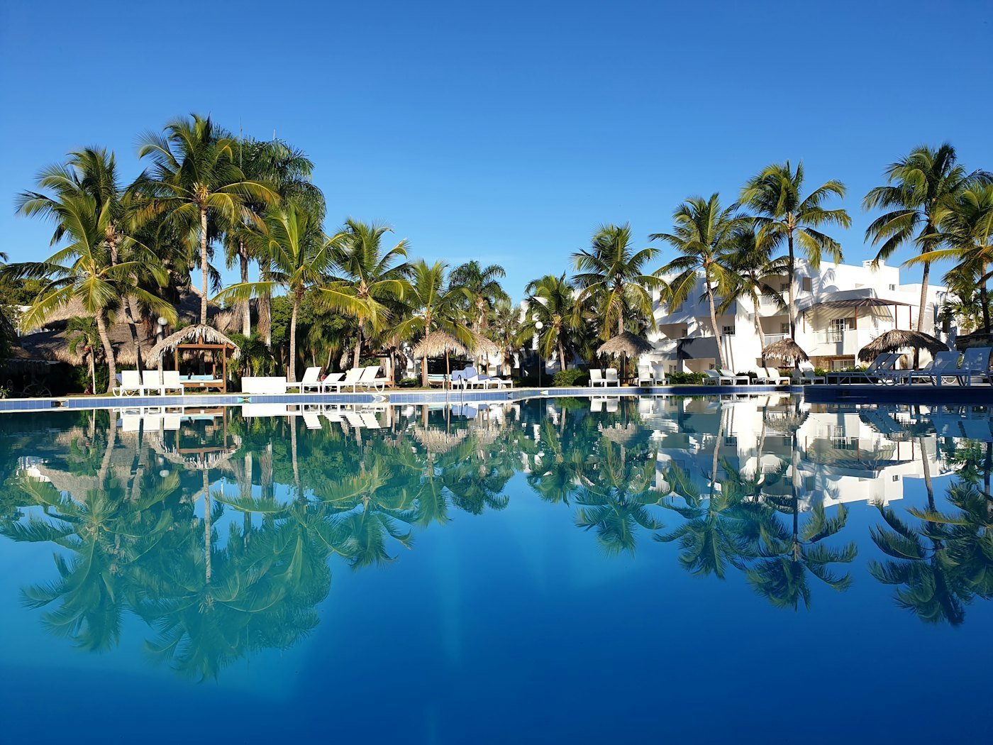 Hotel pool reflecting palm trees and white buildings